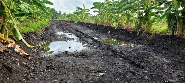 Đất bùn cặn bã tuôn về Tiền Giang- người dân kêu cứu (18/05/2024)